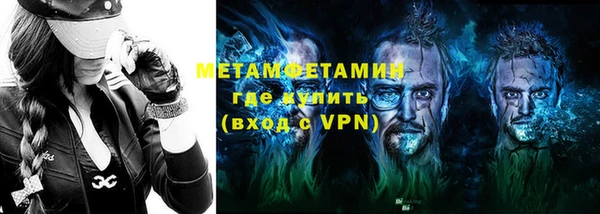 индика Медвежьегорск